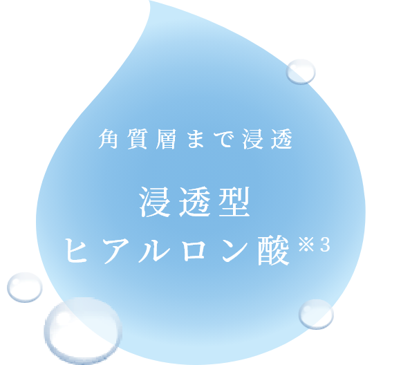 角質層まで浸透 浸透型 ヒアルロン酸