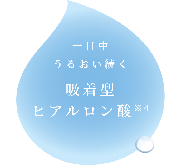 一日中 うるおい続く 吸着型 ヒアルロン酸