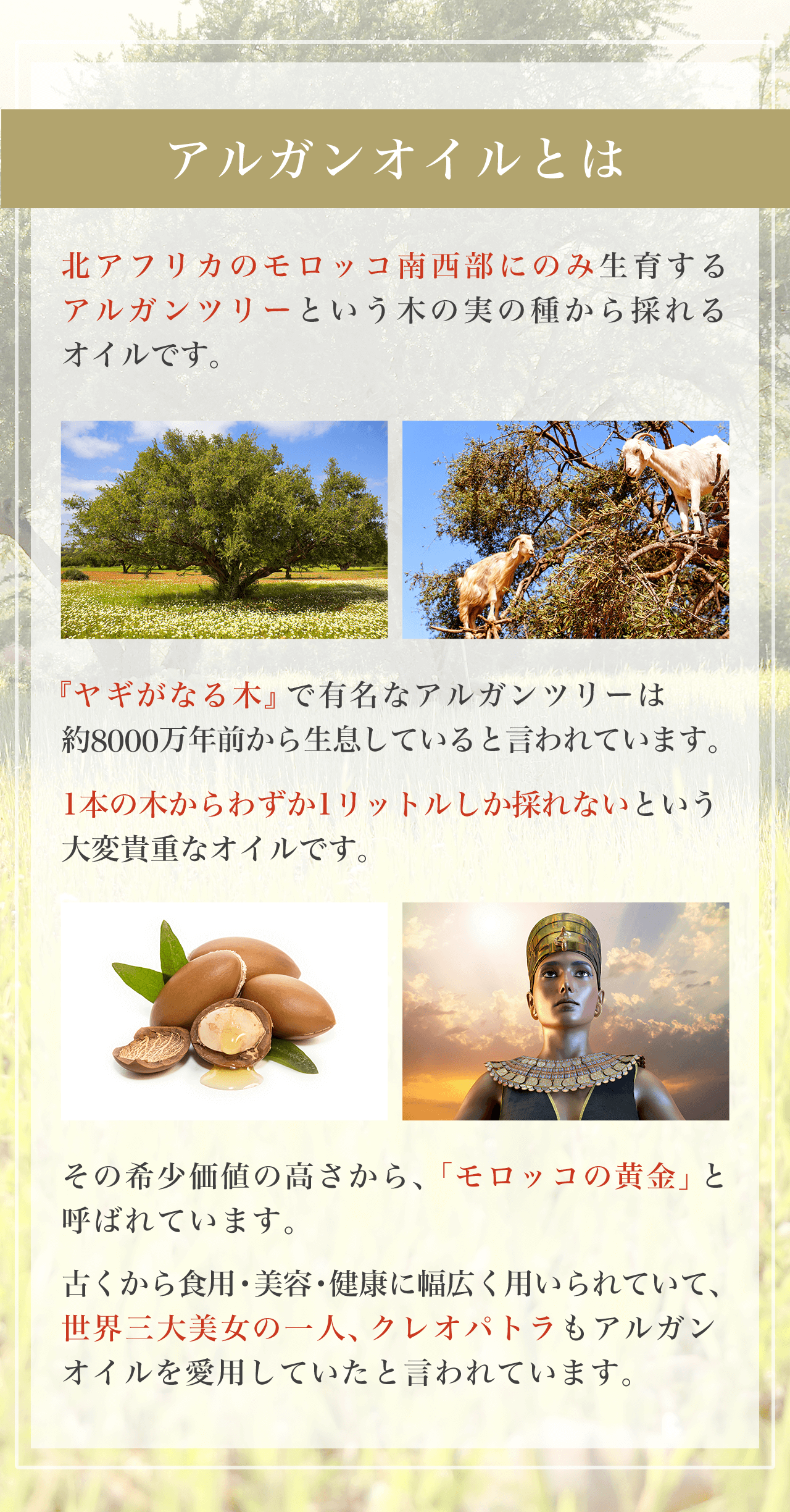アルガンオイルとは