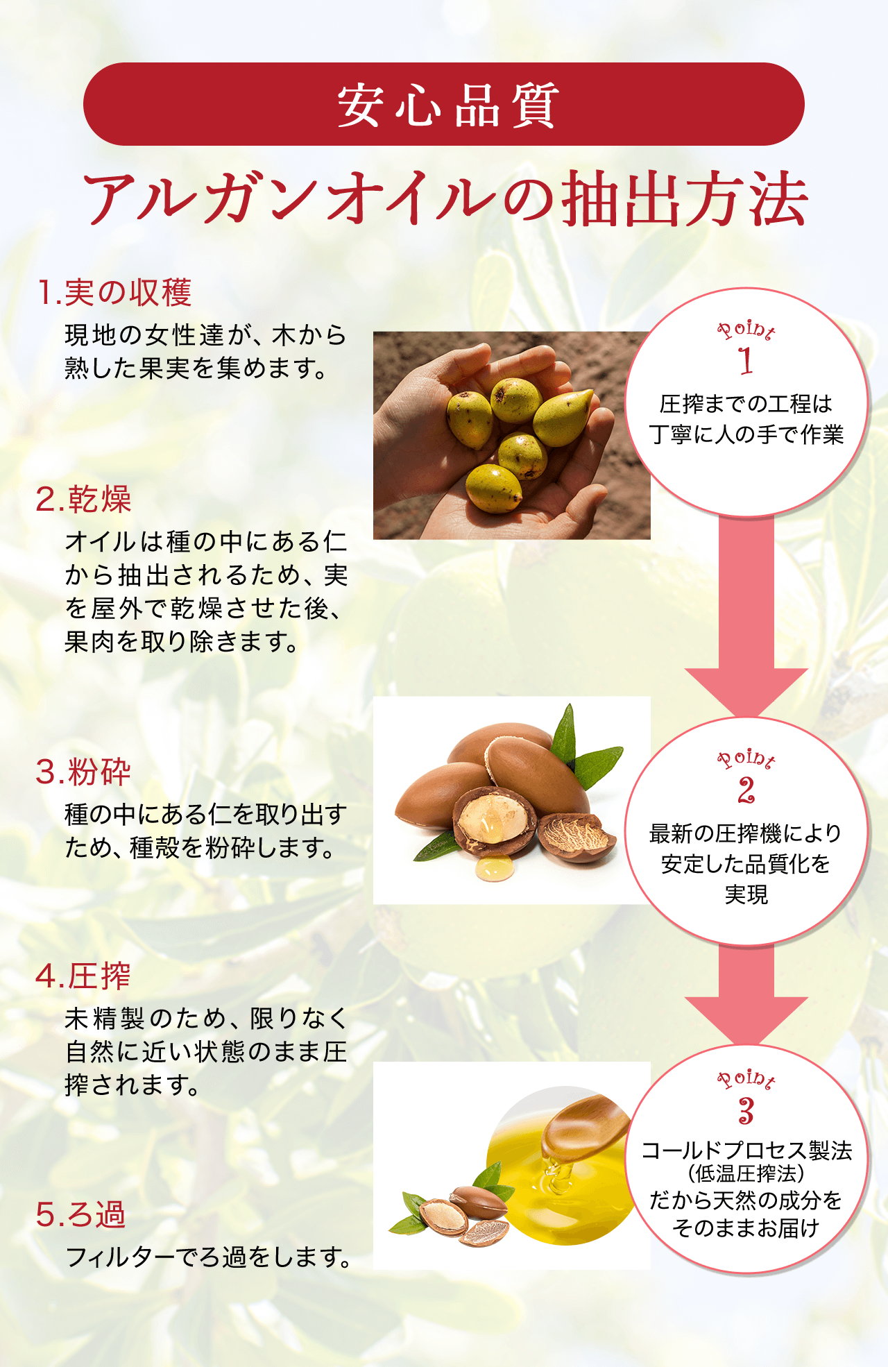 アルガンオイルの抽出方法